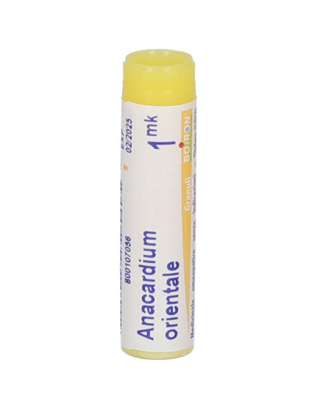 Anacardium orien mk gl