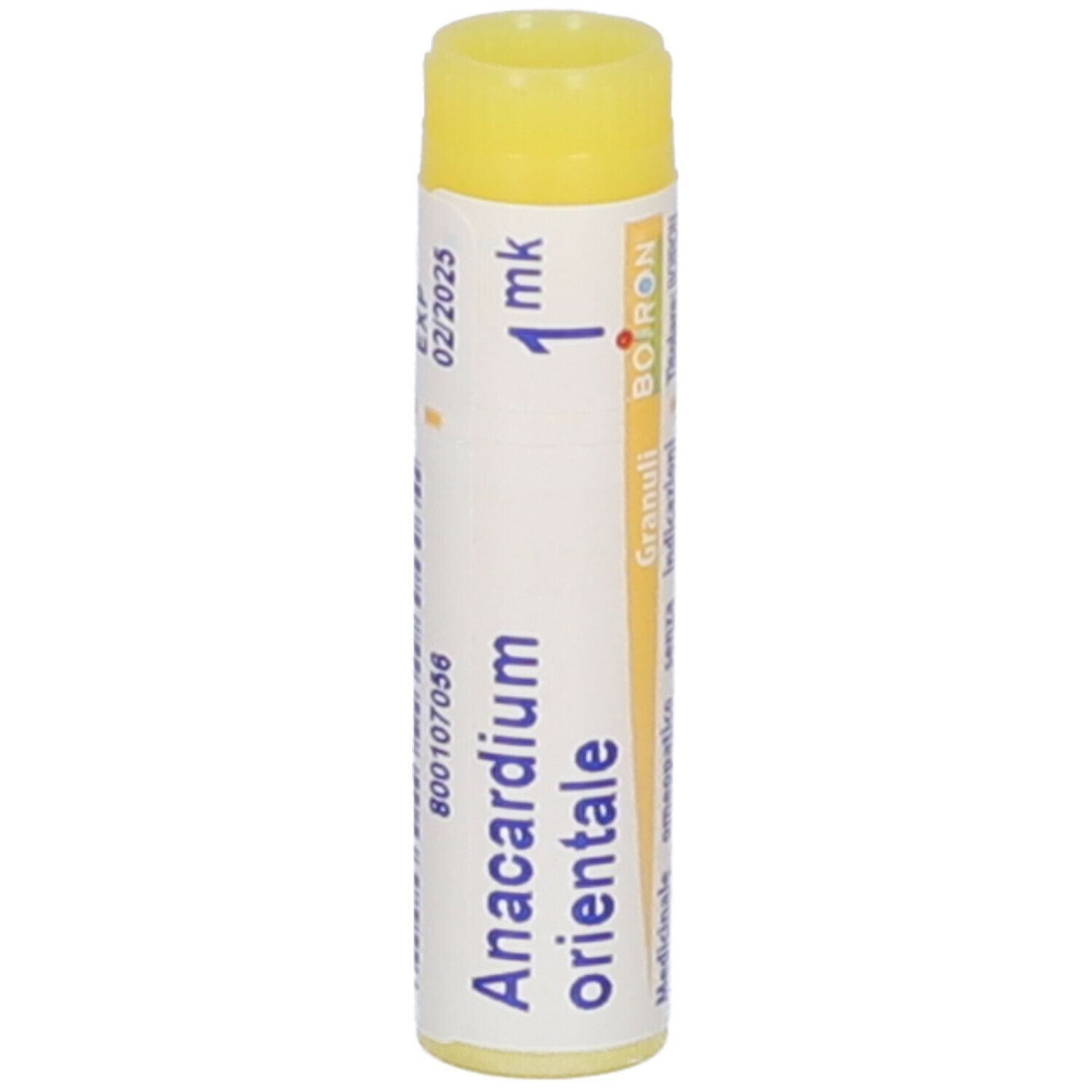 Anacardium orien mk gl