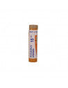 Anacardium orient 15ch gr