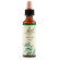 Holly fiori di bach original 20ml