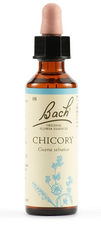 Chicory fiori di bach 20ml