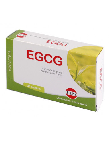 Egcg the verde 30 capsule nf