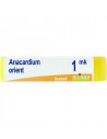 Anacardium orient mk gl