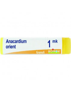 Anacardium orient xmk gl