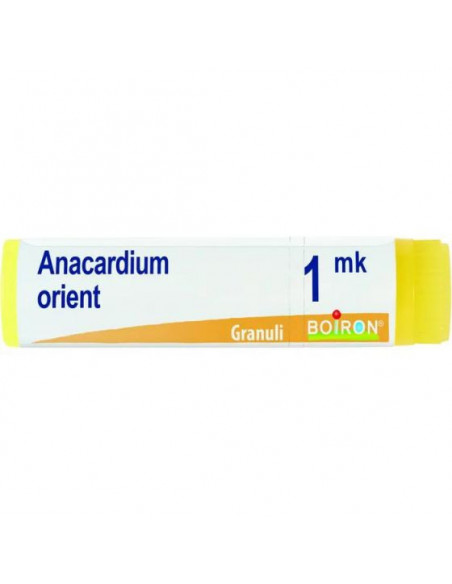 Anacardium orient xmk gl