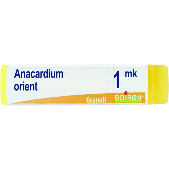Anacardium orient xmk gl