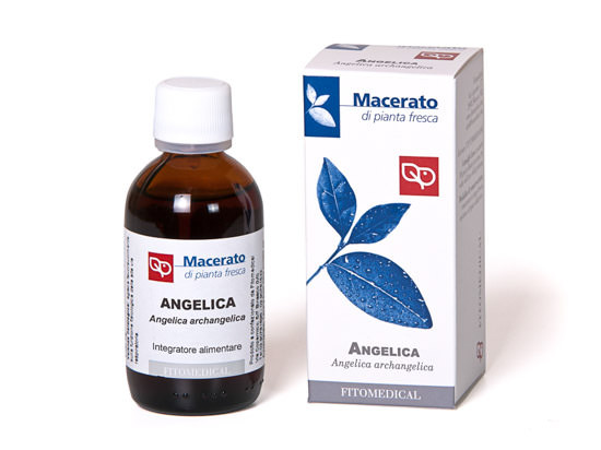 Image of Angelica arcangelica 60ml tm cod085