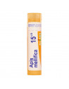 Apis mellifica 15ch gl