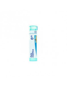 Apis mellifica 6ch gr