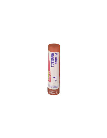 Arnica 7ch gr