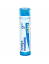 Arnica 9ch gl