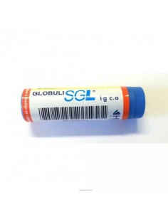 Arnica montana 1000k gr 1g