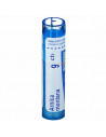 Arnica montana 9ch gl