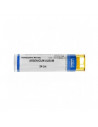 Arsenicum album 24lm gl