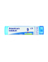 Arsenicum iodatum 9ch 80gr 4g