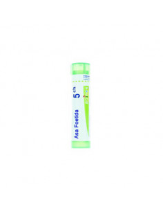 Asa foetida 5ch 80gr 4g
