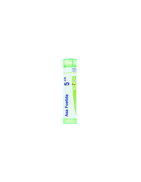 Asa foetida 5ch 80gr 4g