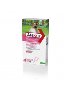 Ataxxa spot on*4pip 1ml 4-10kg