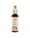 Bach center ess aspen 20ml