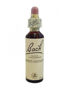 Bach center ess white chestn20