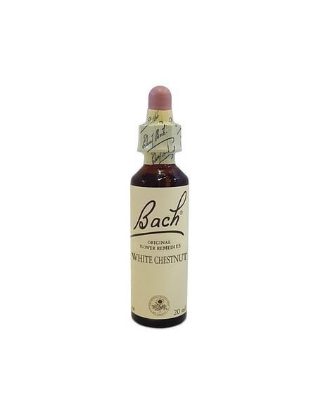 Bach center ess white chestn20