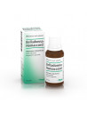 Belladonna homaccord*gocce 30ml