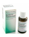Berberis homac 30ml gocce heel