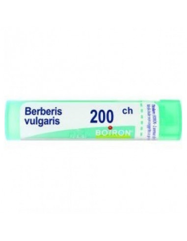 Berberis vulgaris 200ch gl 1g