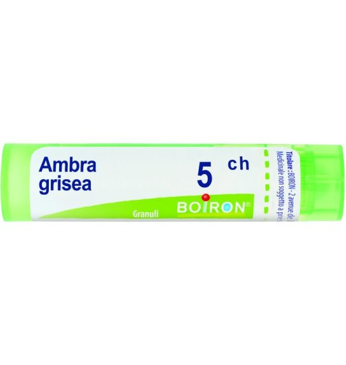 Bo.ambra grisea 5ch tubo