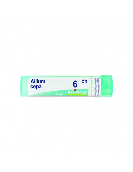 Bo.allium cepa*6ch 80gr 4g