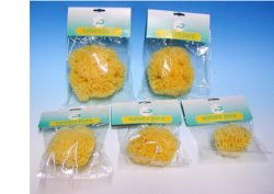 Natura pura spug nat 14 bust