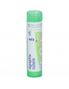 Bo.arsenicum album*5ch 80gr 4g