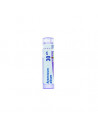 Bo.arsenicum iodat*30ch 80gr 4