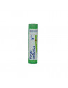 Bo.baryta carbonica*5ch 80gr 4