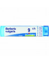Bo.berberis vulgaris*9ch 80gr