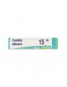 Bo.candida alb 15 ch gr