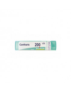 Bo.cantharis 200ch gr