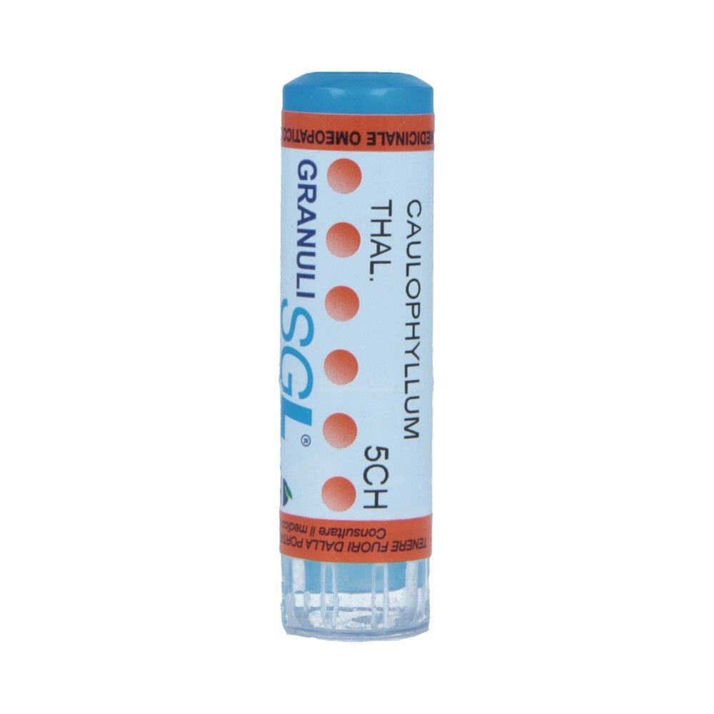 Bo.caulophyllum thalictroid*5c