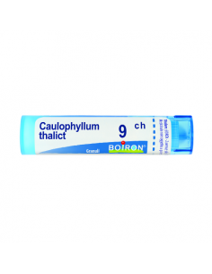 Bo.caulophyllum thalictroid*9c