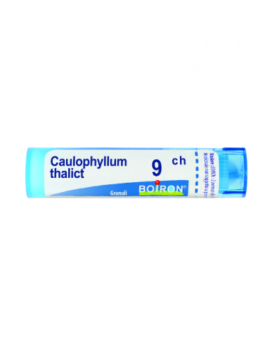 BO.CAULOPHYLLUM THALICTROID*9C