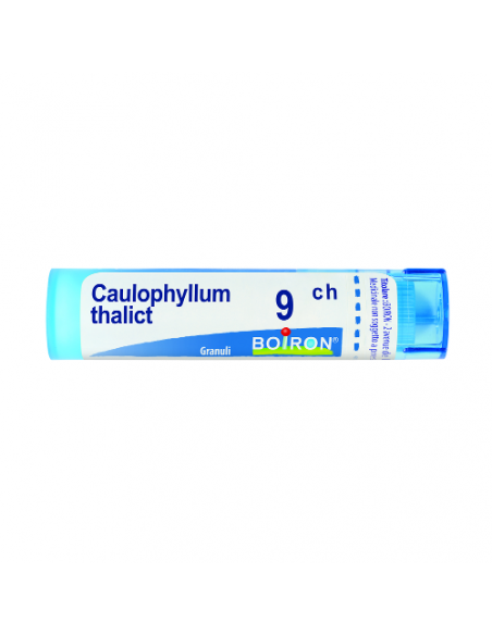 Bo.caulophyllum thalictroid*9c