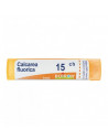Bo.calcarea fluor*15ch 80gr 4g