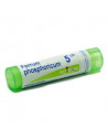 Bo.ferrum phosph 5ch gr