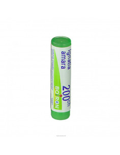 Bo.ignatia 200ch dose