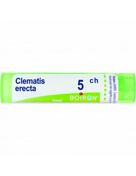 Bo.clematis erecta*5ch 80gr 4g