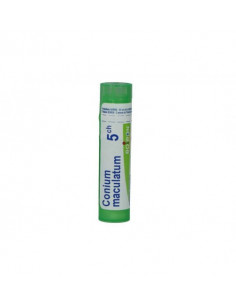 Bo.conium mac.5ch tubo