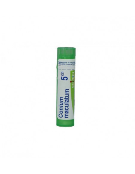 Bo.conium mac.5ch tubo