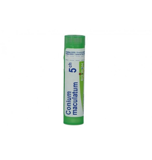 Image of Bo.conium mac.5ch tubo cod085