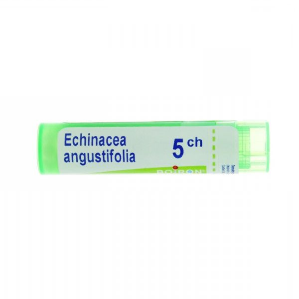 Image of Bo.echinacea ang.5ch tubo cod085