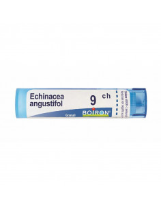 Bo.echinacea ang.9ch tubo